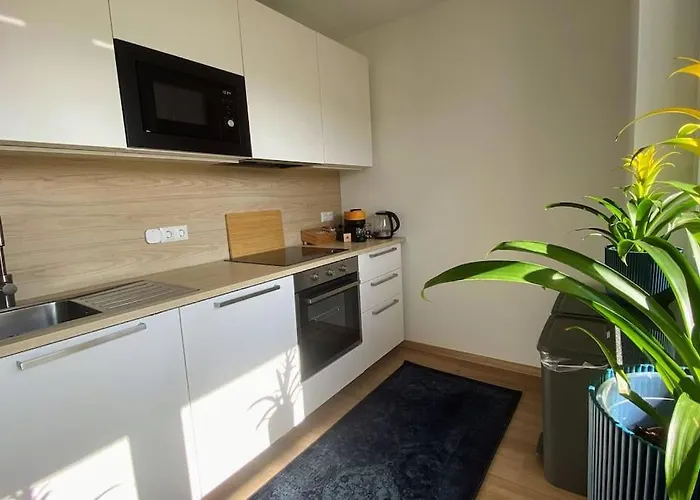Strahlende Erdgeschoss-wohnung Im Neubau Naehe Legoland * Ichenhausen